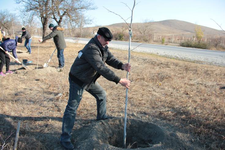 Сотрудник Дома Поэта Александр Норкин высаживает свое первое дерево